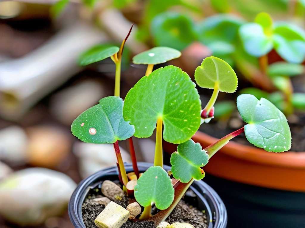 How to Eliminate Jade Plant Slugs: 3 Natural Garden Pest Remedies(1)