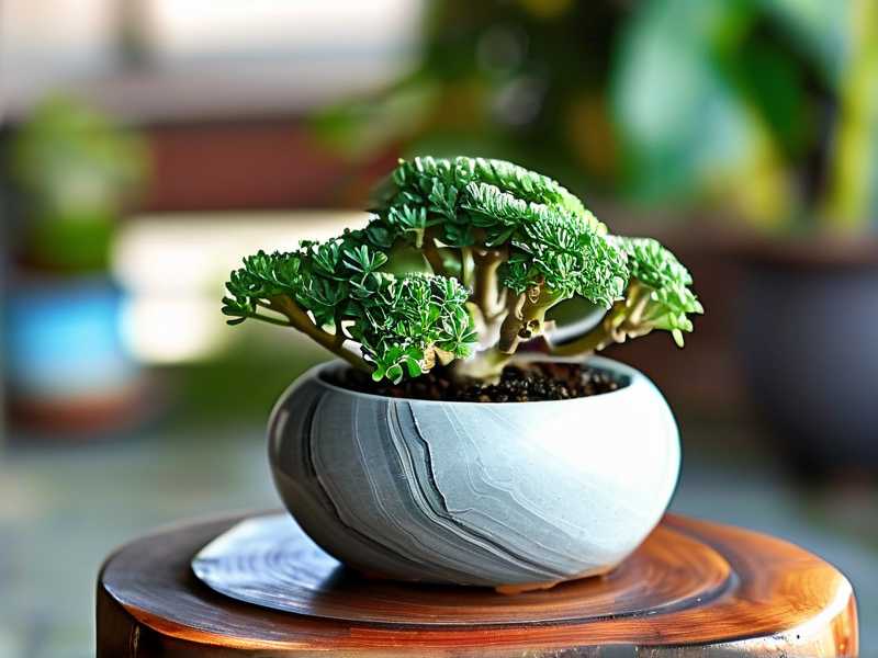 How to Maintain Jade Plant Topiary in Winter: 4 Cold-Weather Tips