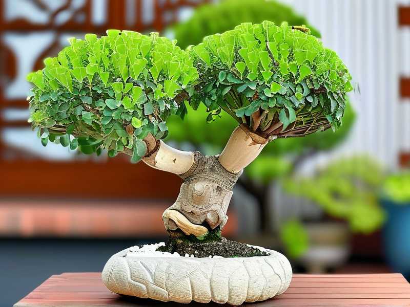 How to Prune Jade Plant Bonsai for Shape: 5 Precision Cutting Steps