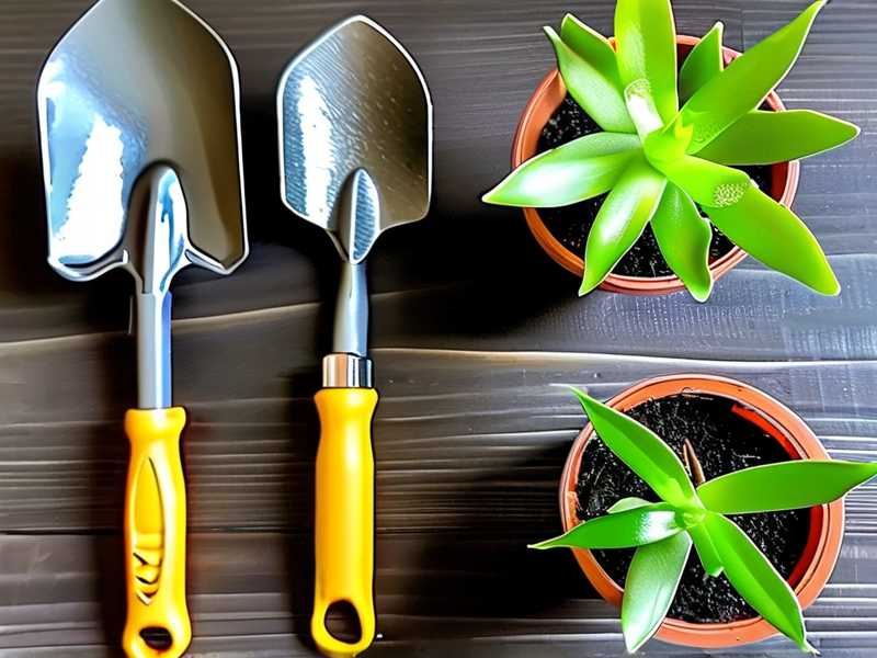 How to Sterilize Jade Plant Repotting Tools: 3 Germ-Killing Methods How to Sterilize Jade Plant Repotting Tools: 3 Germ-Killing Methods